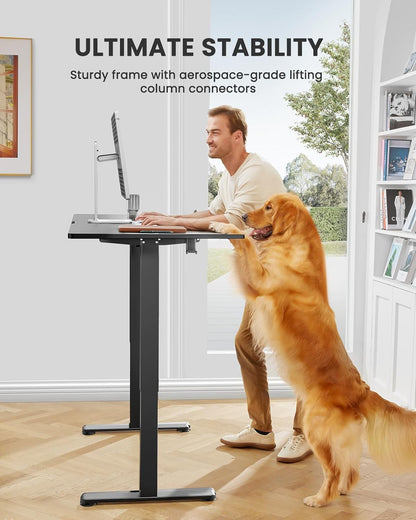 Electric Height Adjustable Standing Desk, 48 x 24 Inches Sit-Stand Computer Desk for Home Office (Black)